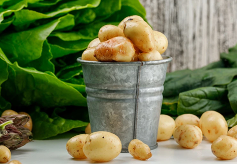 Какой сорт картофеля самый вкусный: 38 лучших вариантов и правила посадки