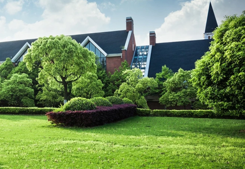 Как выровнять участок под газон: пошаговая инструкция